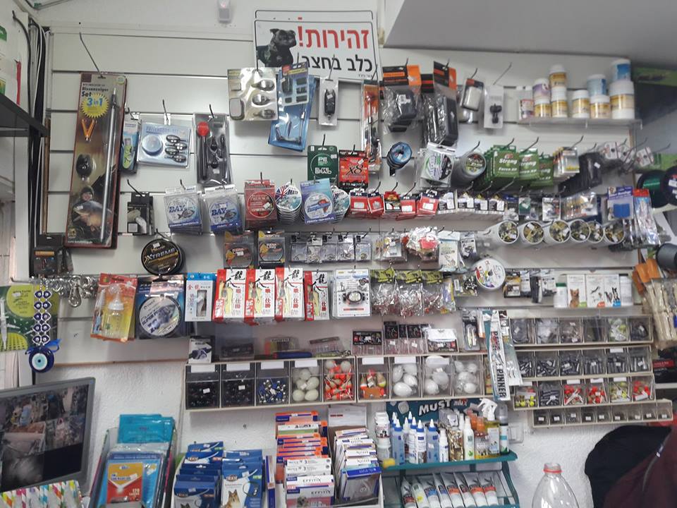 בדרך לרמת הגולן חוויה בלתי נשכחת בפארוט יהודה .